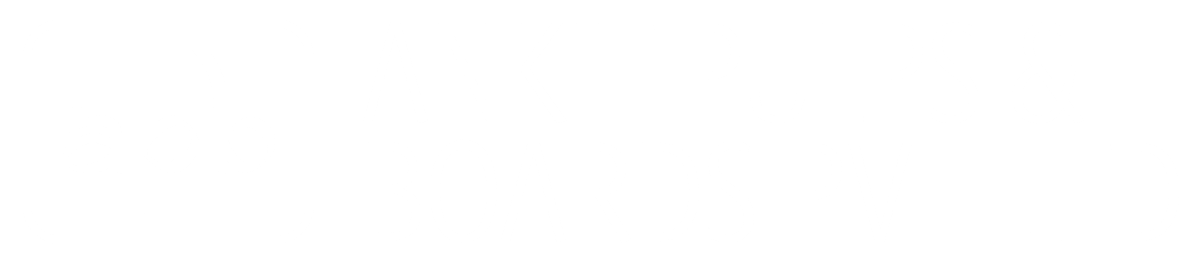 Ankit Pulps & Boards Logo