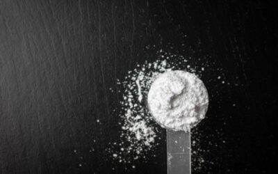Alpha Cellulose: The Purest Form of Cellulose in Pharmaceutical Applications