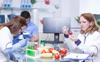 MCC in Pharma vs Food Industries: What Suppliers Must Know