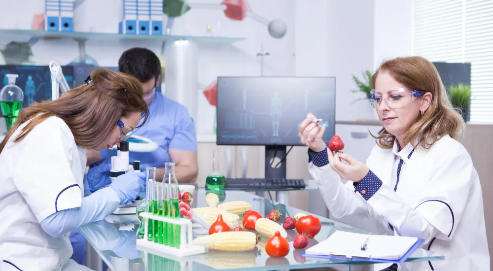 MCC in Pharma vs Food Industries: What Suppliers Must Know